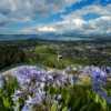 Skyline Rotorua Gondolaweb