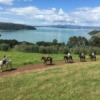 panoramic view of horse trek with Te Matuku Bay in the background at Waiheke